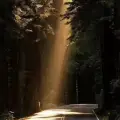 Алексей Сергеевич